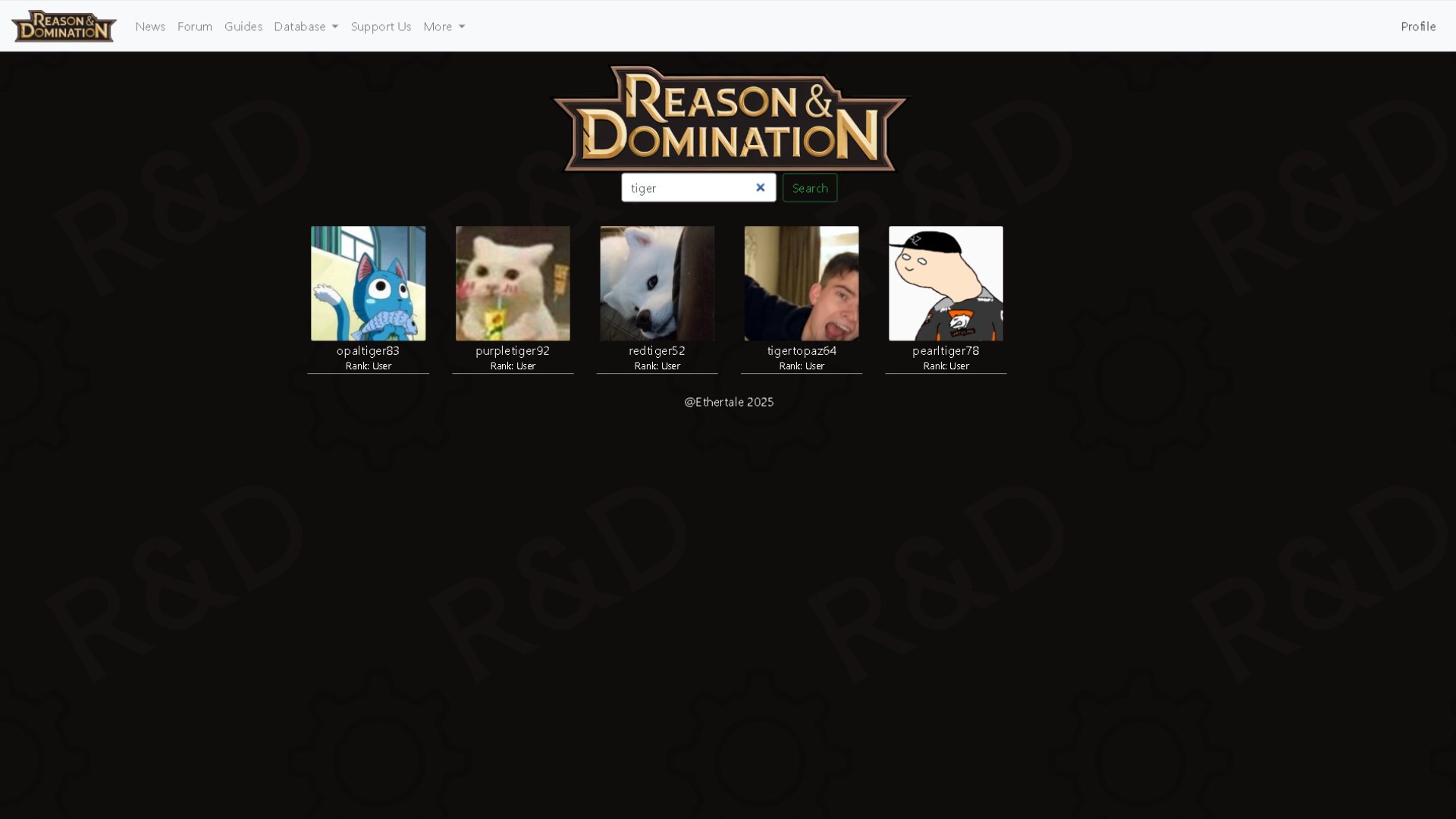 This page allows the user to look up other users with a specific word and the back-end checks if a user contains the given word in their name, thus retrieving a list of given users.